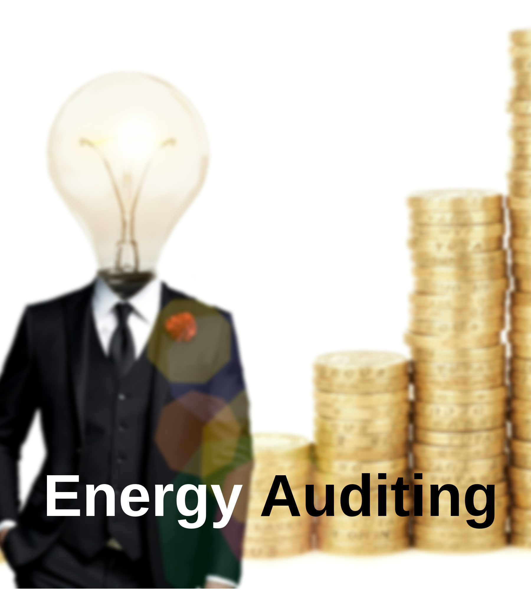Energy Auditing (1)